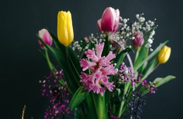 unsplash-aydin-anneler-gunu-cicekleri-hizmetler-ozel-gunler